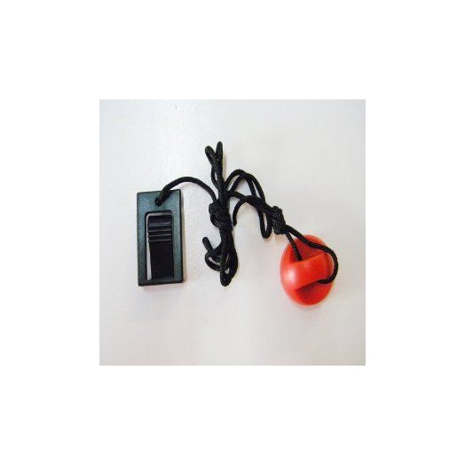 Treadmill Key 208603