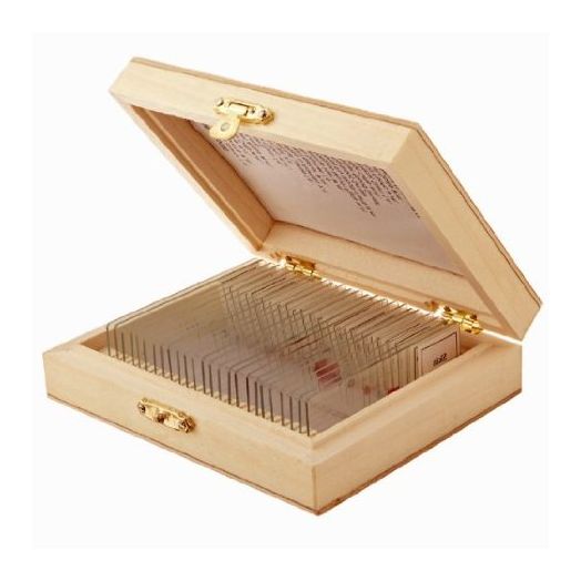 AmScope PS25 Prepared Microscope Slide Set for Basic Biological Science Education, 25 Slides, Includes Fitted Wooden Case