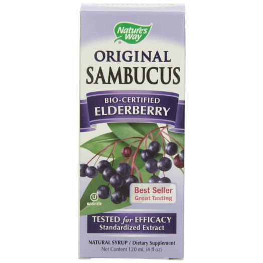 Nature's Way Sambucus Syrup, Elderberry, 4-Ounce