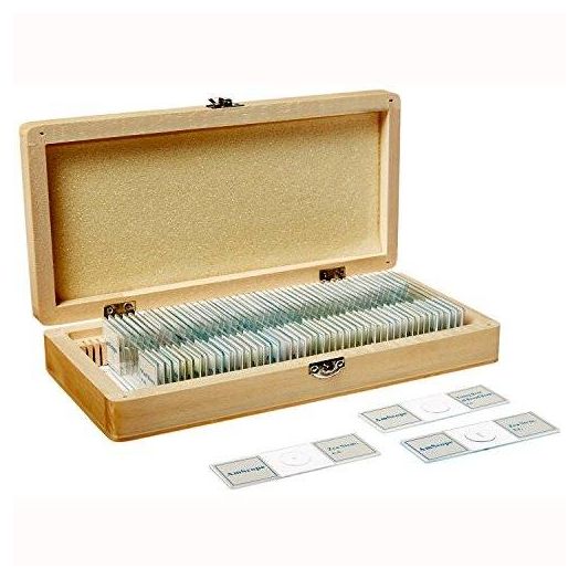 AmScope PS50A Prepared Microscope Slide Set for Basic Biological Science Education, 50 Biology and Pathology Slides, Includes Fitted Wooden Case