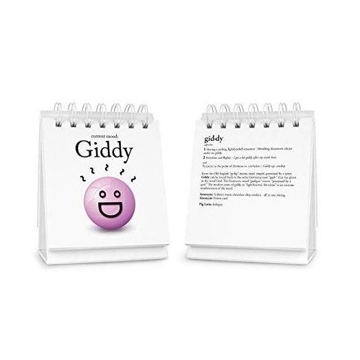 Fred & Friends Fred and Friends THE DAILY MOOD Desk Flipchart