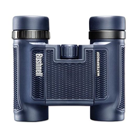 Bushnell H2O Waterproof/Fogproof Compact Roof Prism Binocular, 12x 25mm