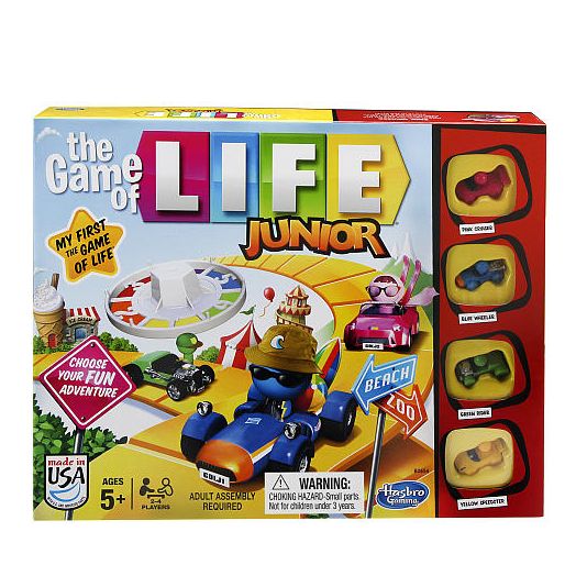 The Game of Life Junior Game