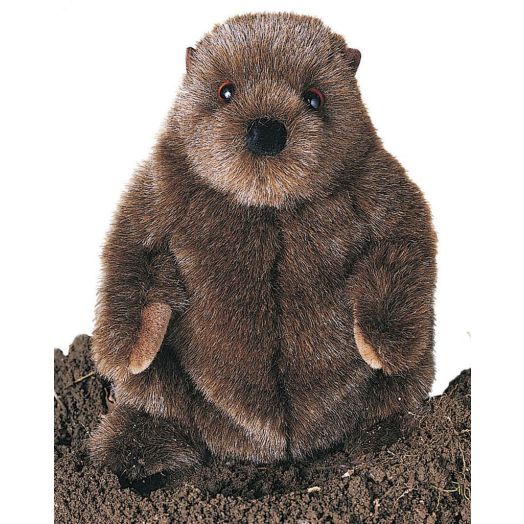 Plush Chuckwood Groundhog 11"