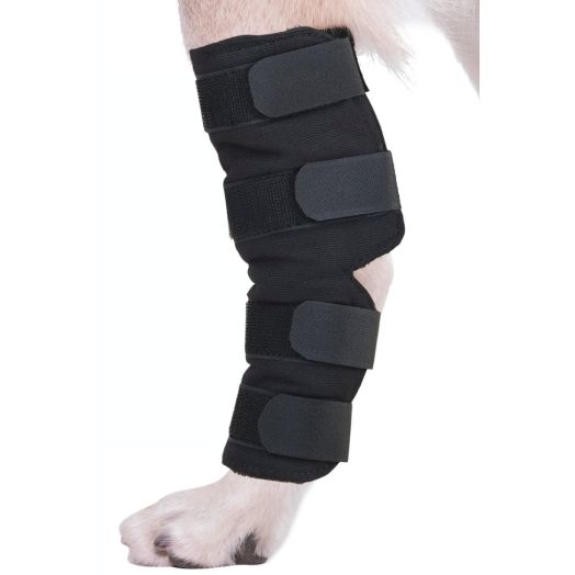 AGON Canine Dog Hock Brace Rear Leg Joint Wrap Protects Wounds as they Heal, Compression Wrap, Heals and Prevents Injuries and Sprains Helps with Loss of Stability Caused by Arthritis