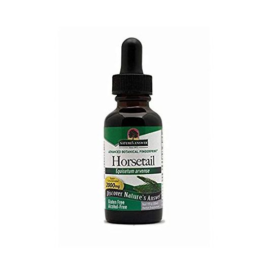 Nature's Answer Alcohol-Free Horsetail Herb, 1-Fluid Ounce