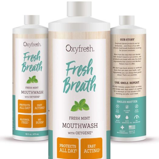 Oxyfresh Fresh Breath Fresh Mint Mouthwash - Dentist Recommended - for Long-Lasting Fresh Breath and Healthy Gums  Alcohol-Free  16 Oz.