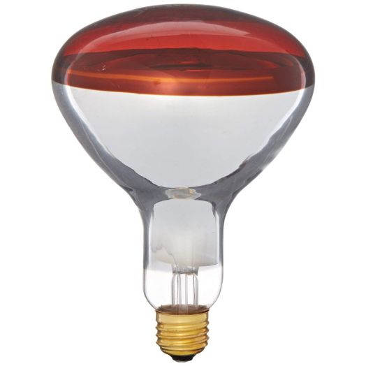 Pyramid Bulbs 64965 Heat lamp bulb 250 Watts R40 Reflector infrared light Red Medium E26 Base Incandescent Heat Lamp Light Bulb