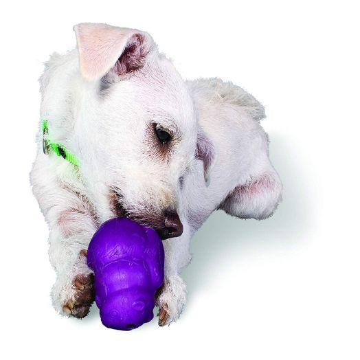 PetSafe Busy Buddy Squirrel Dude Dog Toy