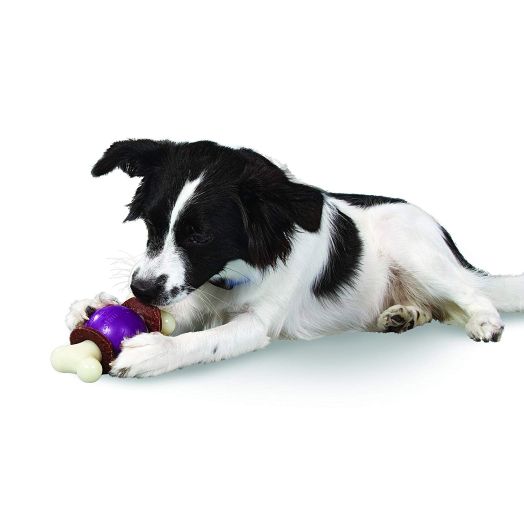 PetSafe Busy Buddy Bouncy Bone Dog Toy