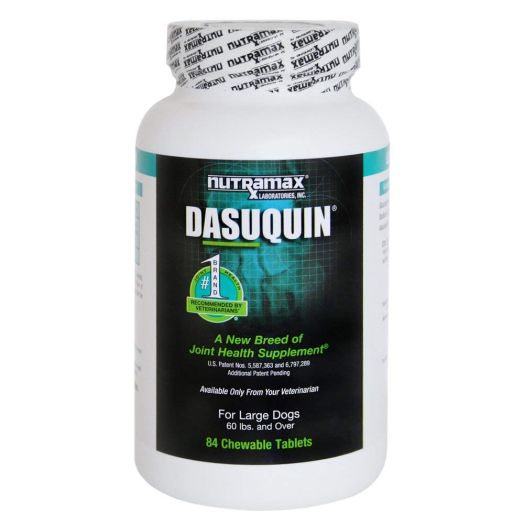 Nutramax Dasuquin for Dogs
