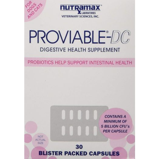 Nutramax Proviable Health Supplement for Cats and Dogs