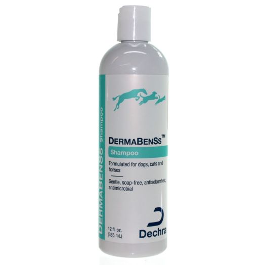 DermaPet DermaBenSs Shampoo 12oz by ThePetStop
