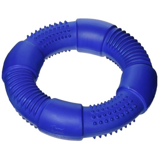 Chase 'n Chomp Go-Ring Pet Chew Toy--Assorted Colours