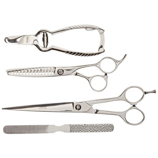 Tamsco Grooming Set Of 4, (B-622, B-566, M-275, B-2520) Zipper Case Japanese Stainless Steel Thinning Shear with 14 Teeth Blades hear with Classical Design Pedicure Set