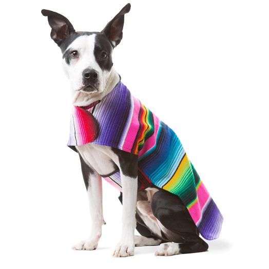 Handmade Dog Poncho from Mexican Serape Blanket - Dog Clothes - Coat - Costume - Sweater - Vest
