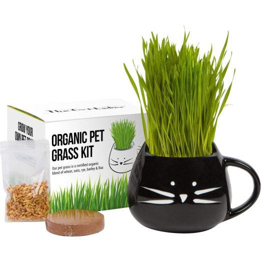 Organic cat Grass Growing kit with Organic Seed Mix, Organic Soil and cat Planter. Great Gift idea for Fur Babies. Natural Hairball Control, Remedy for Cats. Natural Digestive aid. USA Manufactured.