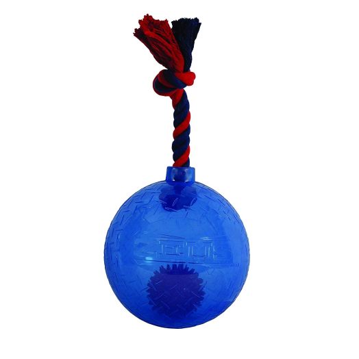 ZEUS LED Bomb Spike Ball, Large Dog Toy, Orange (Color May Vary)