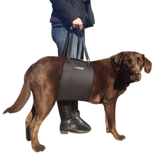 Labra Veterinarian Approved Dog Canine K9 Sling Lift Adjustable Straps Support Harness Helps with Loss of Stability Caused by Joint Injuries and Arthritis ACL Rehabilitation Rehab