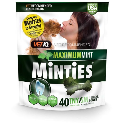 VetIQ Minties Dog Dental Bone Treats, Dental Treats for Dogs, Tiny/Small, 16oz