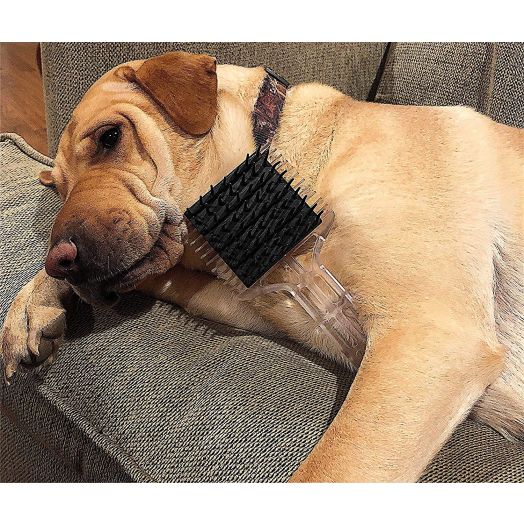 PET Brush and Comb All in ONE. Great for Dogs, Cats and Horses.