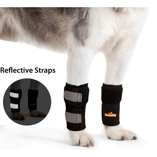 Pair of NeoAlly Dog and Cat Front Leg Braces Carpal Support with Safety Reflective Straps for Front Hock Joint, Cruciate Ligament, Wound Healing and Loss of Stability from Arthritis - 3 Colors (Pair)
