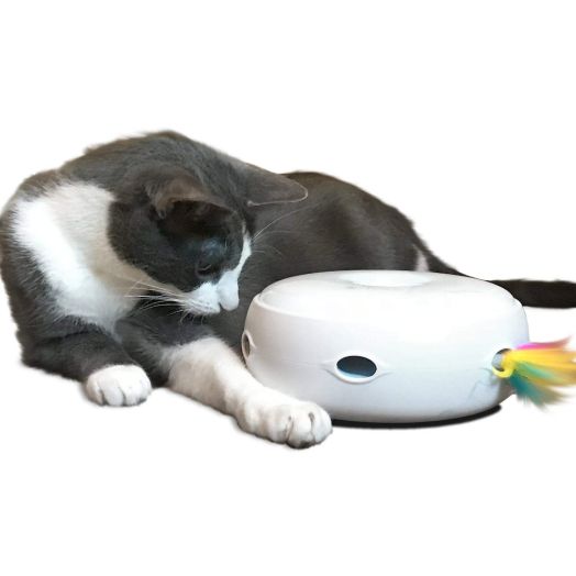 PetFusion Ambush Interactive Cat Toy. [Daytime or Nighttime Play, stimulates Cat's Senses and Instincts]. Easy Return if Your cat is Sensitive to Mechanical Sound