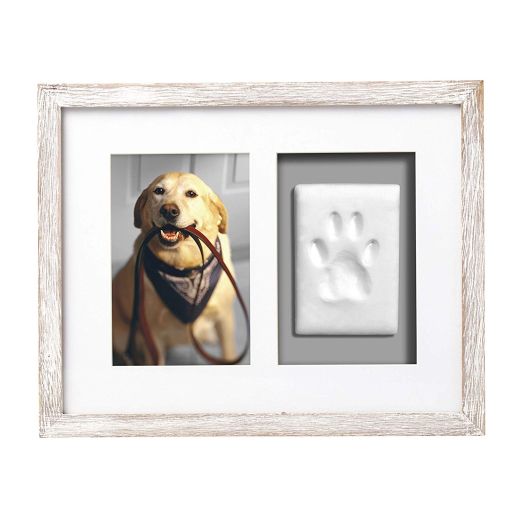 Pearhead Dog Or Cat Paw Prints Pet Wall Frame