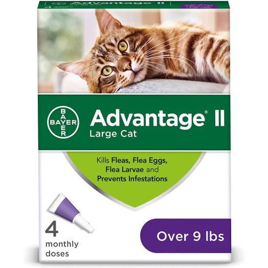 Advantage II 4-Dose Large Cat Flea Prevention, Flea Prevention for Large Cats, 9 Pounds and Over
