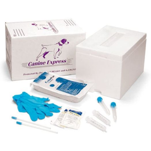 Canine Express Disposable Semen Transport