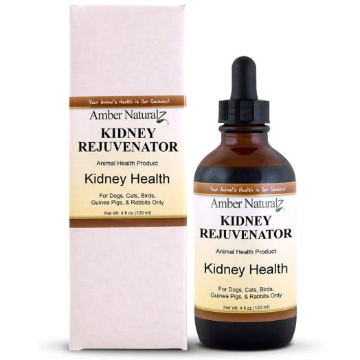 AMBER NATURALZ - Kidney REJUVENATOR - Kidney Health - for Petz - 4 Ounce