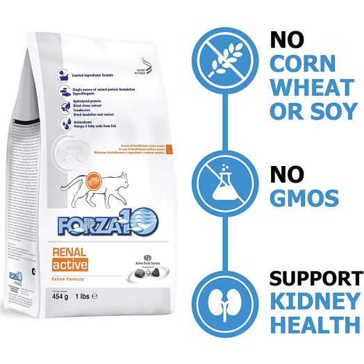 Forza10 Active Kidney Renal Diet Dry Cat Food for Adult Cats, Cat Food Dry for Heart and Kidney Problems, Wild Caught Anchovy Flavor