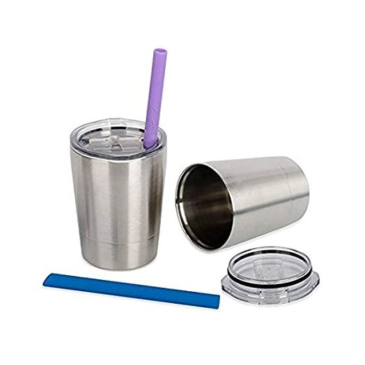 Housavvy Stainless Steel Sippy Cup with Lid and Straw, 8.5 OZ, Set of 2