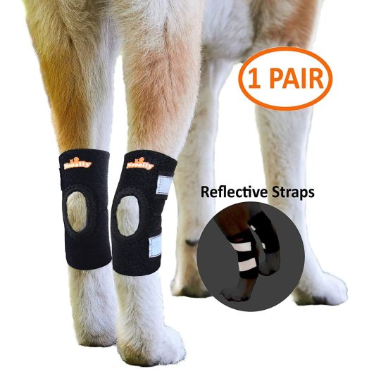 NeoAlly Dog Leg Brace [Short Version] for Small or Short Legs Canine Rear Hock Support with Safety Reflective Straps Hind Leg Wounds, Injuries and Sprains from Arthritis - 3 Colors (Pair)