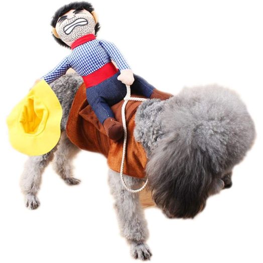 Xiaoyu Pet Dog Cat Halloween Costume, Riding Horse Style Costume, Funny Pet Knight Style Clothing for Dog Cat Cosplay