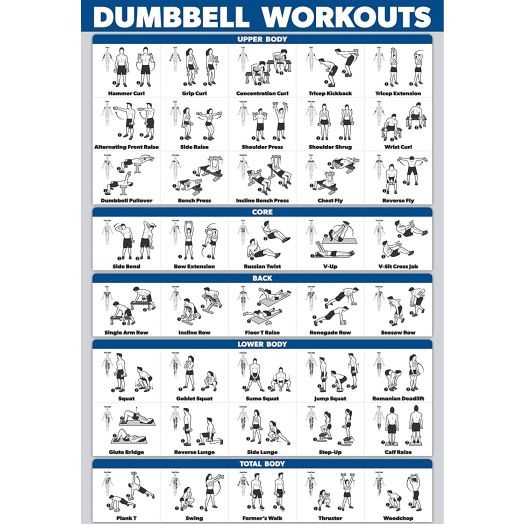 Palace Learning Dumbbell Workout Exercise Poster - Laminated - Free Weight Body Building Guide | Home Gym Chart | Double Sided - 18" x 27"