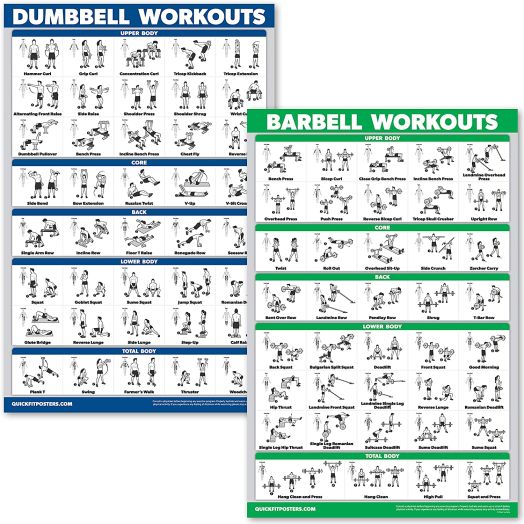 QuickFit Dumbbell Workouts and Barbell Exercise Poster Set - Laminated 2 Chart Set - Dumbbell Exercise Routine and Barbell Workouts