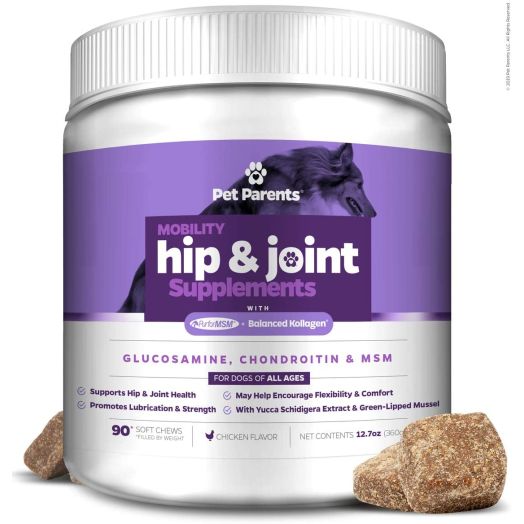 Pet Parents USA Dog Joint Supplement - Glucosamine for Dogs 4g 90c - Dog Arthritis Supplement - Glucosamine Chondroitin for Dogs + MSM for Dogs and Green Lipped Mussel - Hip and Joint Supplement for Dogs