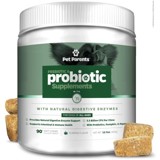 Pet Parents USA Pre and Probiotics for Dogs 4g 90c - 5.5B CFUs/Chew + Dog Enzymes + Pumpkin for Dogs, Papaya and Canine Probiotics - Dog Upset Stomach Relief, Anti Diarrhea for Dogs, Dog Probiotics