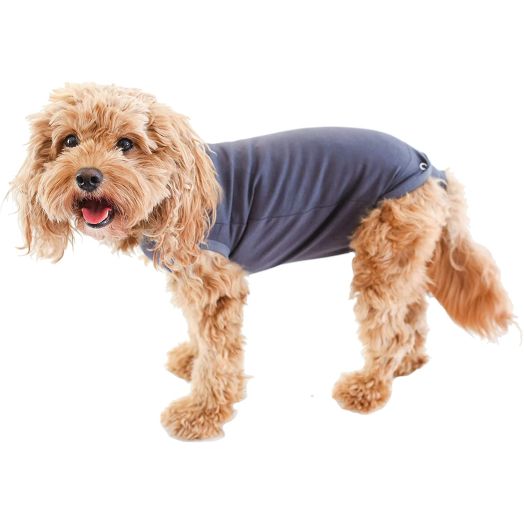 Belly Guard - Dog Recovery Onesie - Cone Alternative - After Surgery Wear