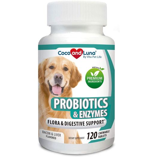 Probiotics for Dogs  Digestive Enzymes, Diarrhea Treatment for Dogs, Promotes Healthy Stomach and Digestion  Relieves Constipation and Gas  120 Chewable Tablets
