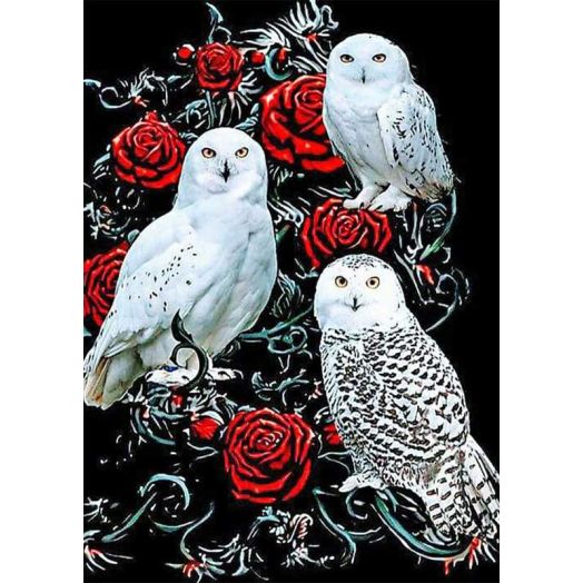 5D Diamond Art Kits for Adults Beginners,Owl Rose Diamond Art Kit,DIY Full Round Drill Birds Animals Gem Art Kits,Home Wall Painting Decor 12 x 16 Inch