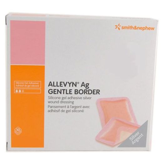Smith & Nephew ALLEVYN Ag Gentle Border, 5 x 5 Inch 4 x 4 Pad