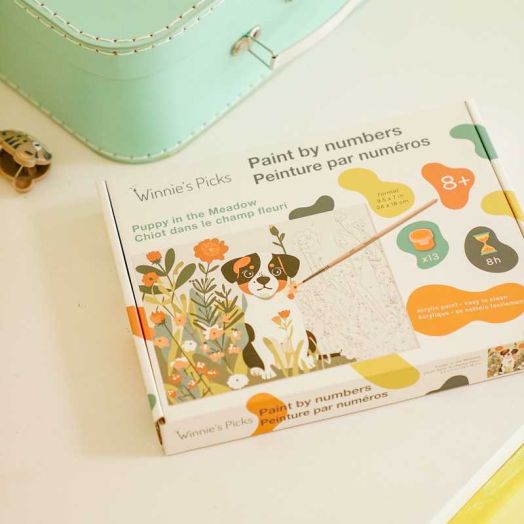 Child's Paint by Numbers Craft Kit for Kids - Puppy in the Meadow by Winnie's Picks