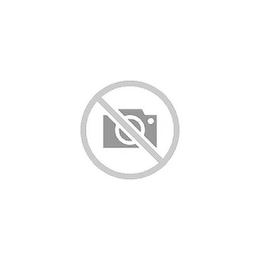 WWE Chyna Vs Trish Stratus Championship Showdown 2-Pack Action Figures