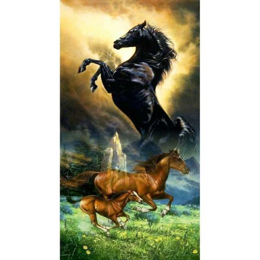 YALKIN 5D Diamond Painting Kits for Adults DIY Large Full Round Drill (70x40cm / 27.56 x 15.7 inch) Embroidery Pictures Arts Painting for Home Wall Decor